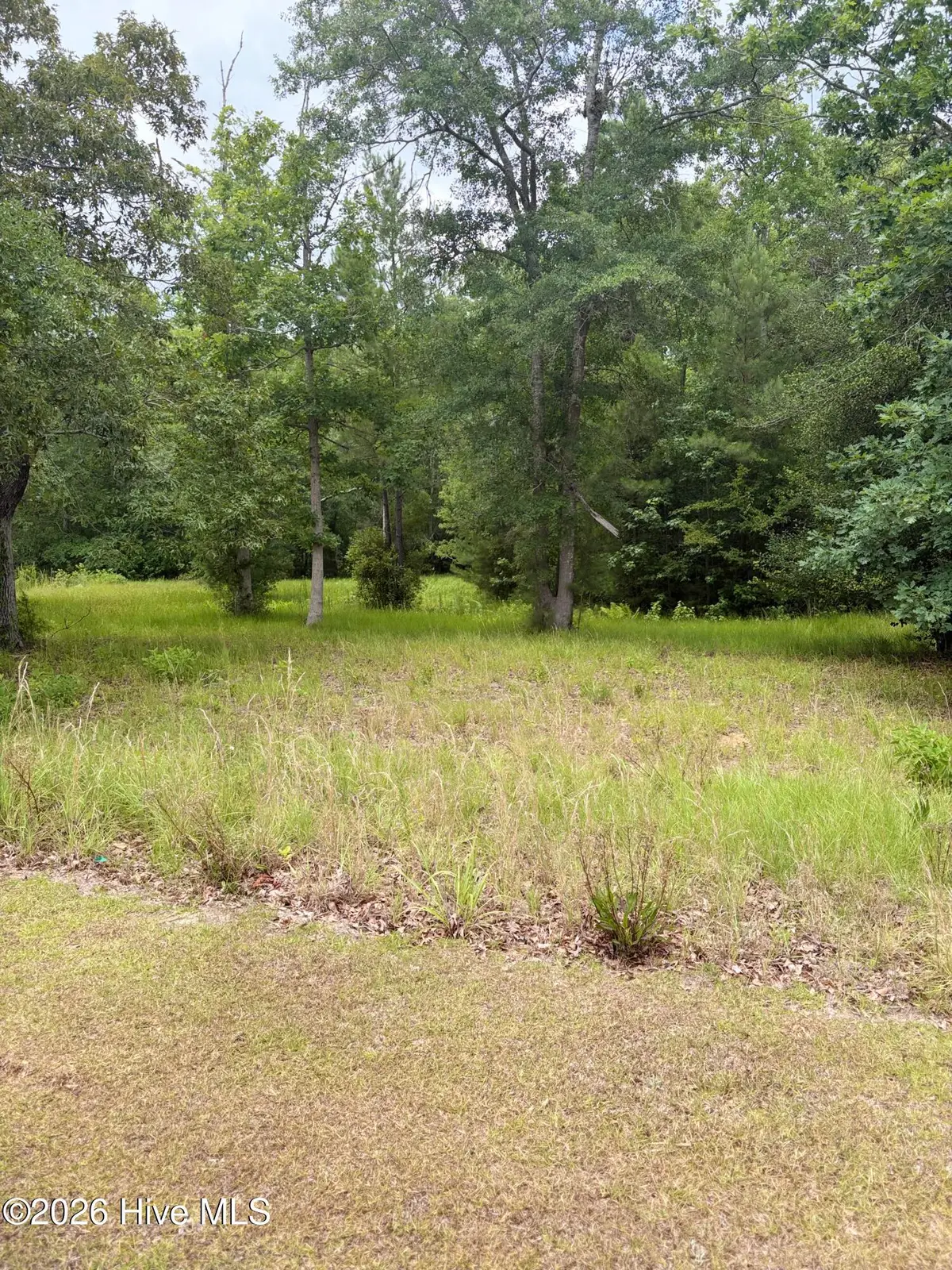 535 N Wild Rice Drive Sw, Supply, NC 28462 - #1