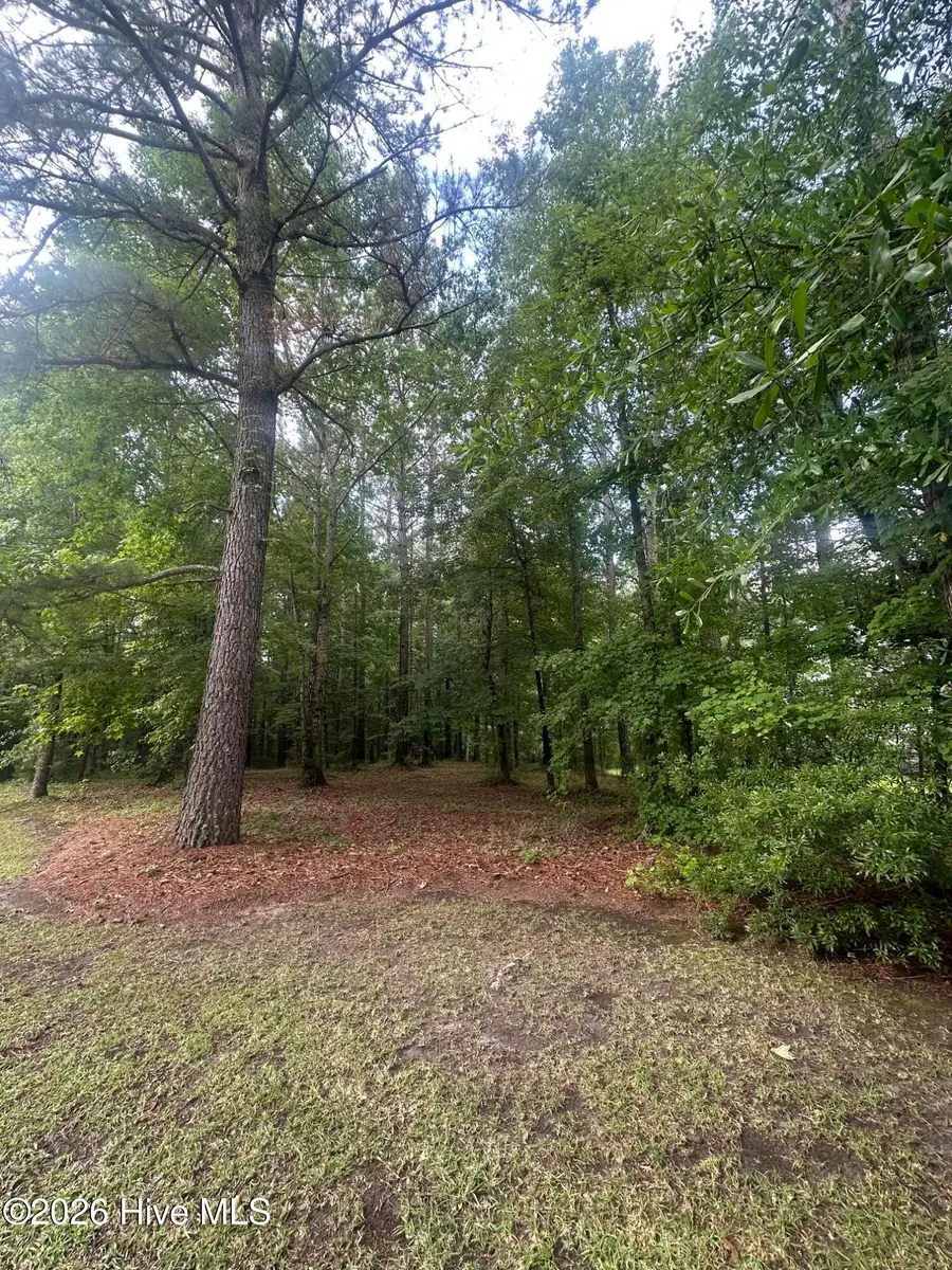 3808 Leaf Court, New Bern, NC 28562 - #3