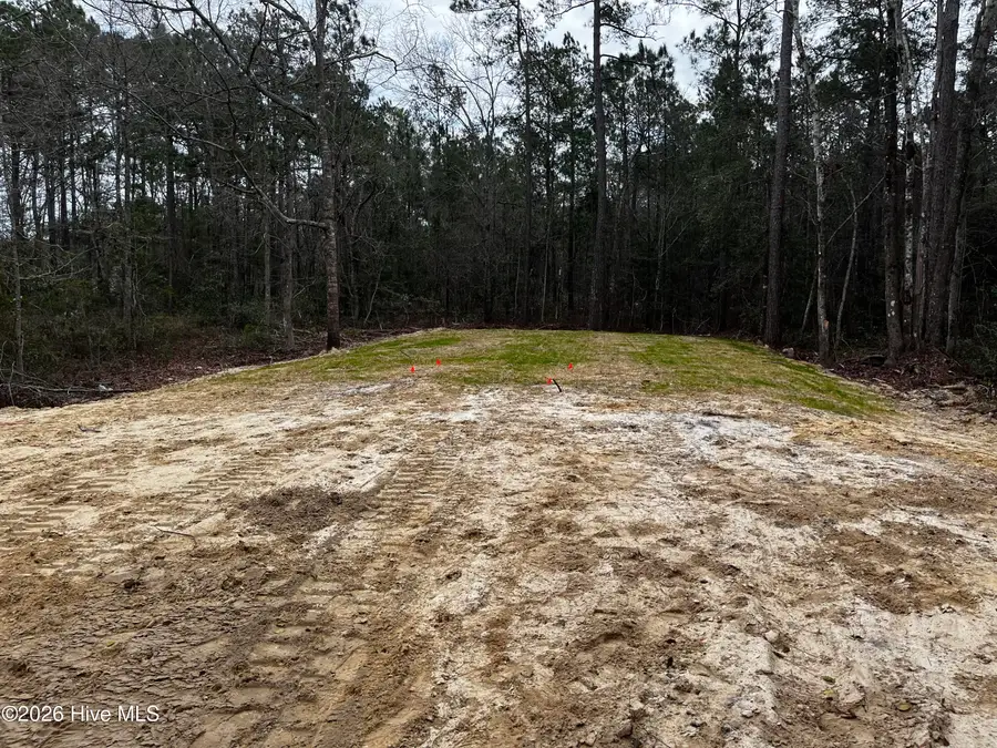 677 S Windward Drive Sw, Supply, NC 28462 - #3