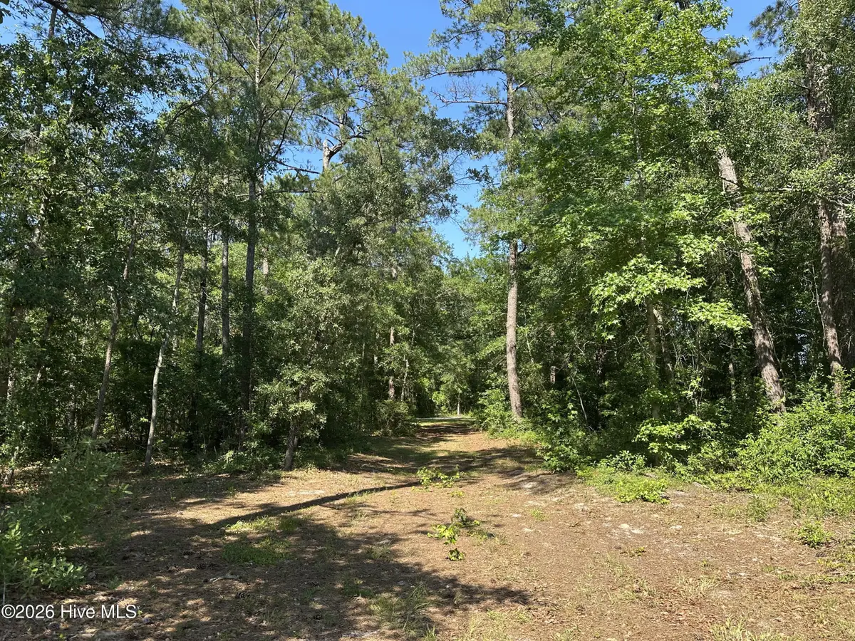 2 Big Eagle Road, Atkinson, NC 28421 - #1