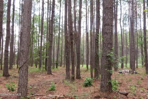 3231 Orchard Creek Road, Oriental, NC 28571