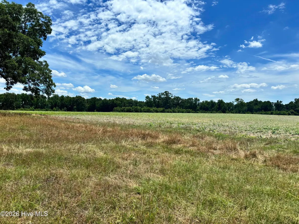 0 Rabbit Hollow Road, Snow Hill, NC 28580 - #1