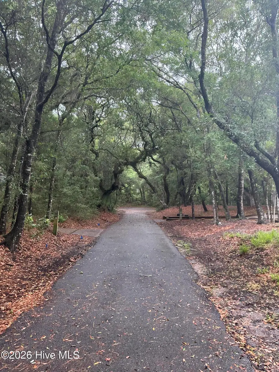 8 Leopard Frog Court, Bald Head Island, NC 28461 - #3
