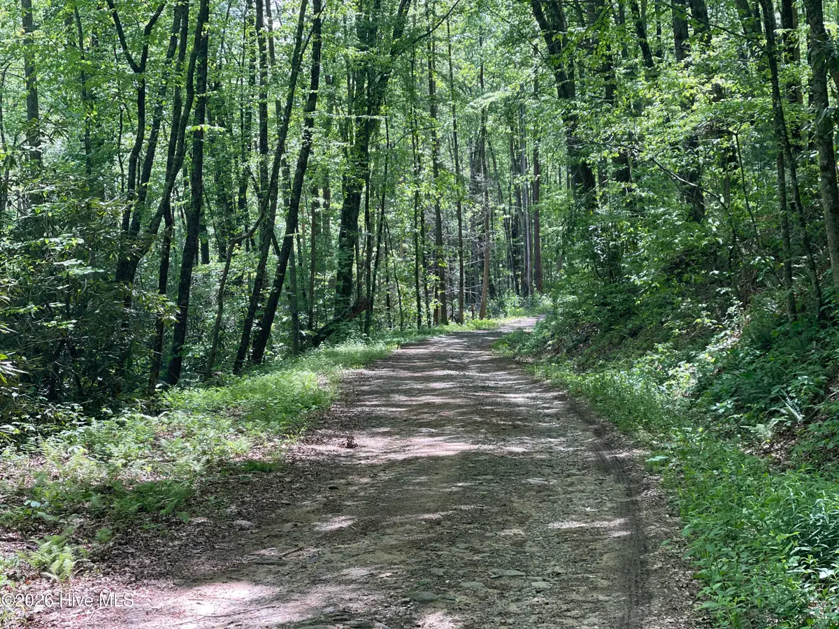 00 Poley Morrow Road, Murphy, NC 28906 - #1