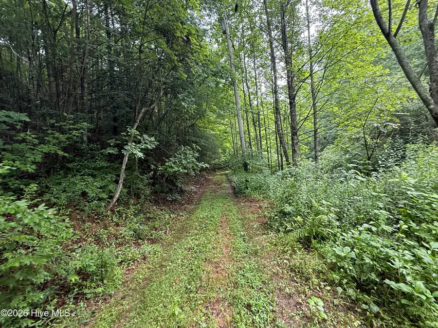 00 Poley Morrow Road, Murphy, NC 28906 - #2