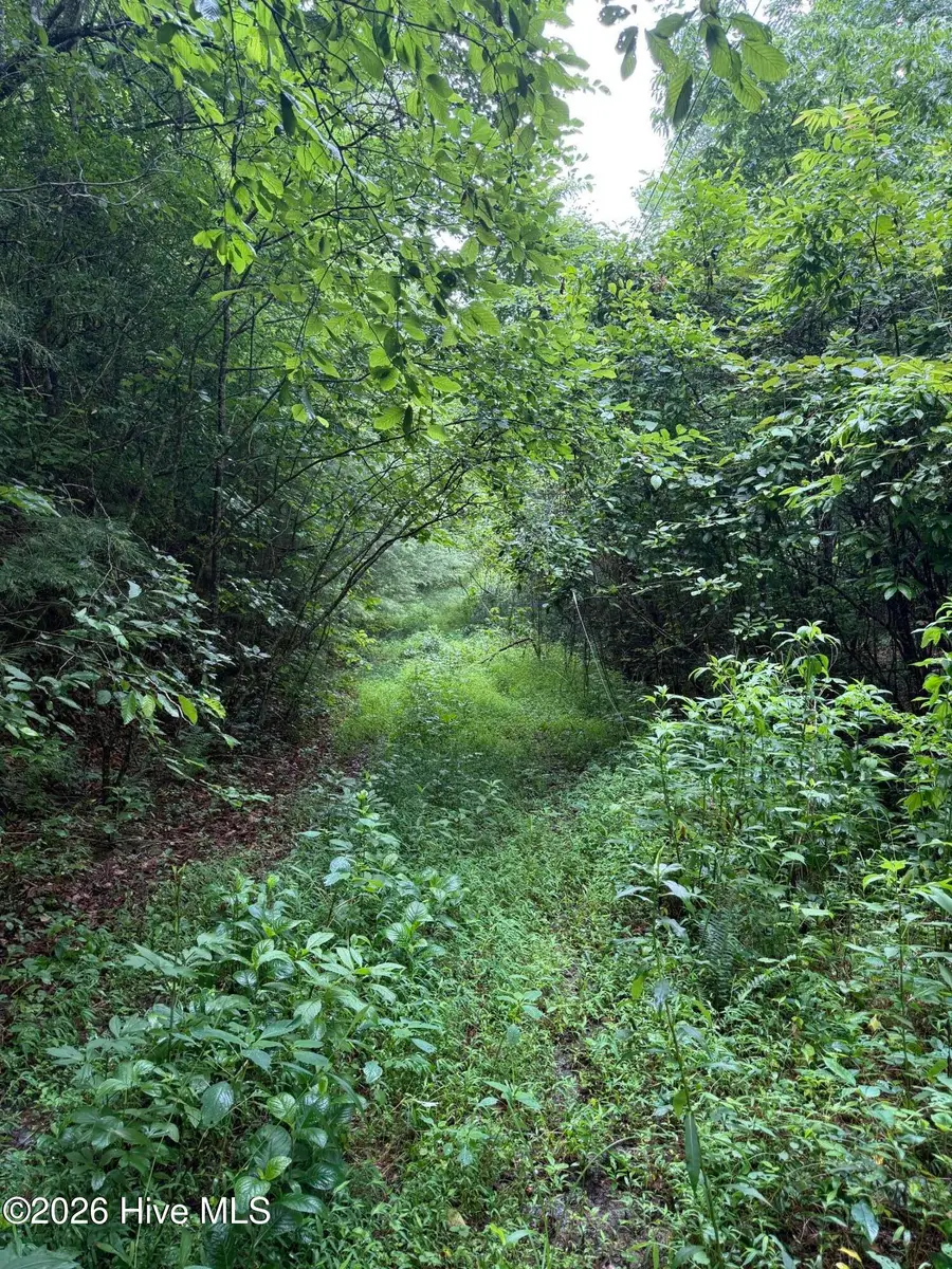 00 Poley Morrow Road, Murphy, NC 28906 - #3