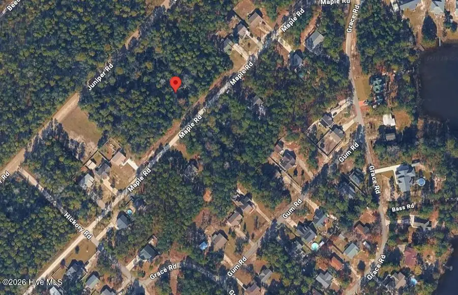 0 Maple Road, Boiling Spring Lakes, NC 28461 - #3