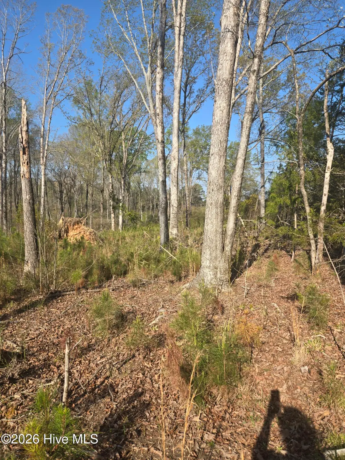 0 Mercier Road, Lincolnton, GA 30817 - #1