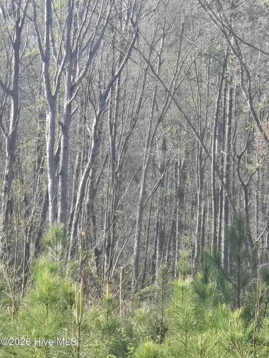 0 Mercier Road, Lincolnton, GA 30817 - #2