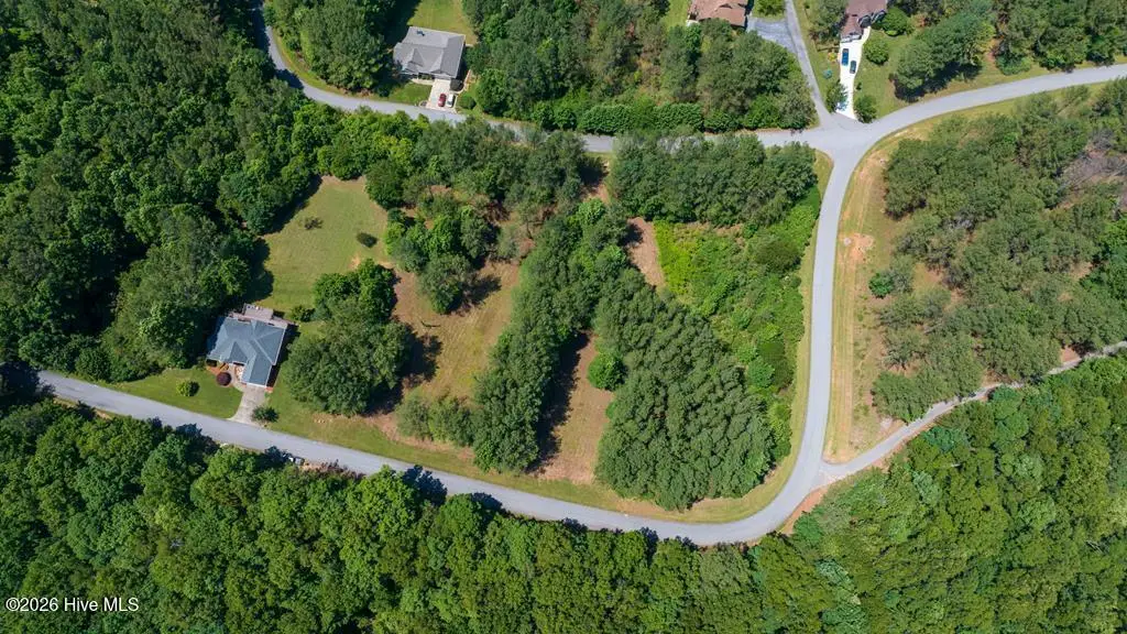Lot 21 Loftis Mountain, Blairsville, GA 30512 - #1
