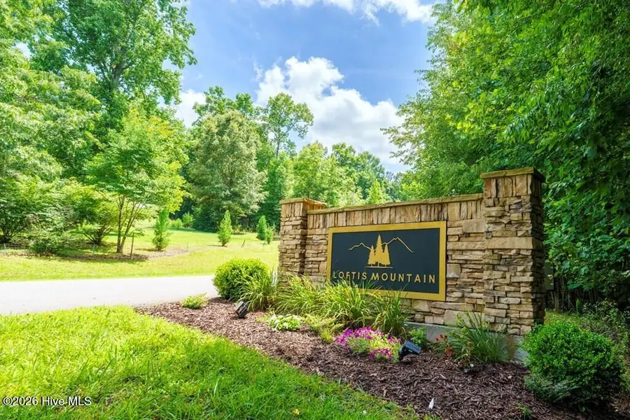 Lot 21 Loftis Mountain, Blairsville, GA 30512 - #3