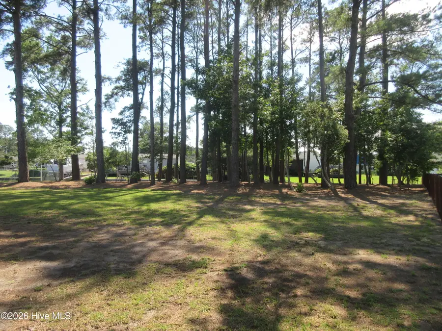 105 N Mallard Court N, Grandy, NC 27939 - #3