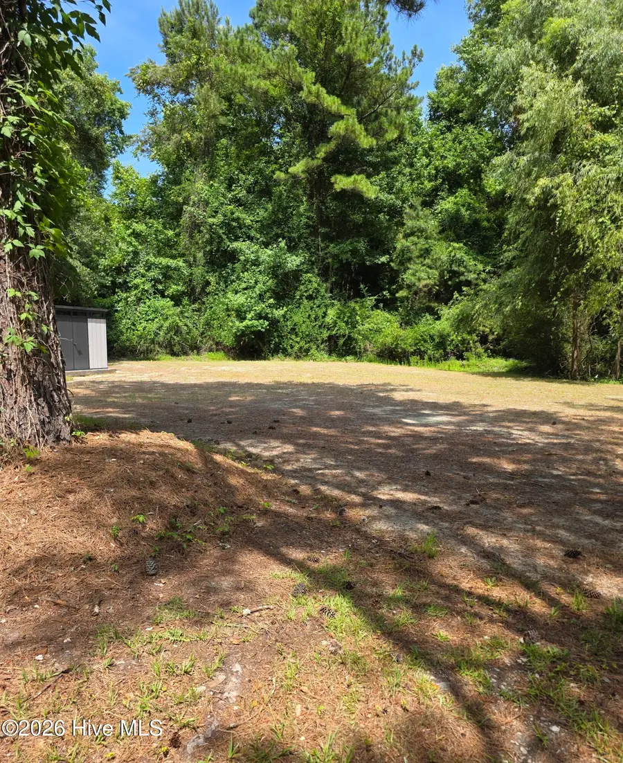 312 Montford Lane, Jacksonville, NC 28546 - #3