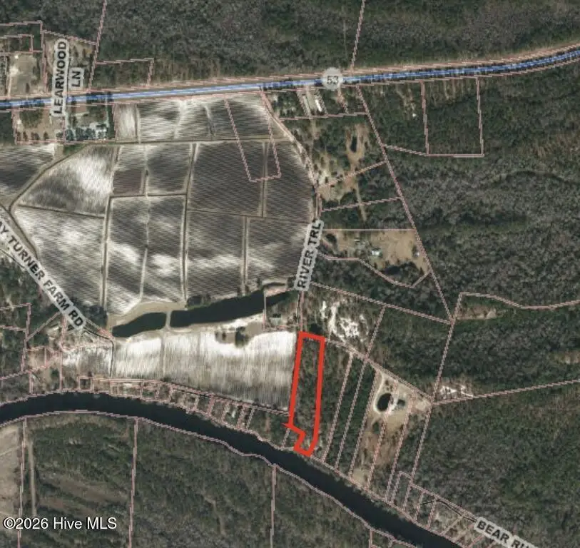 373 River Trail, Burgaw, NC 28425 - #2