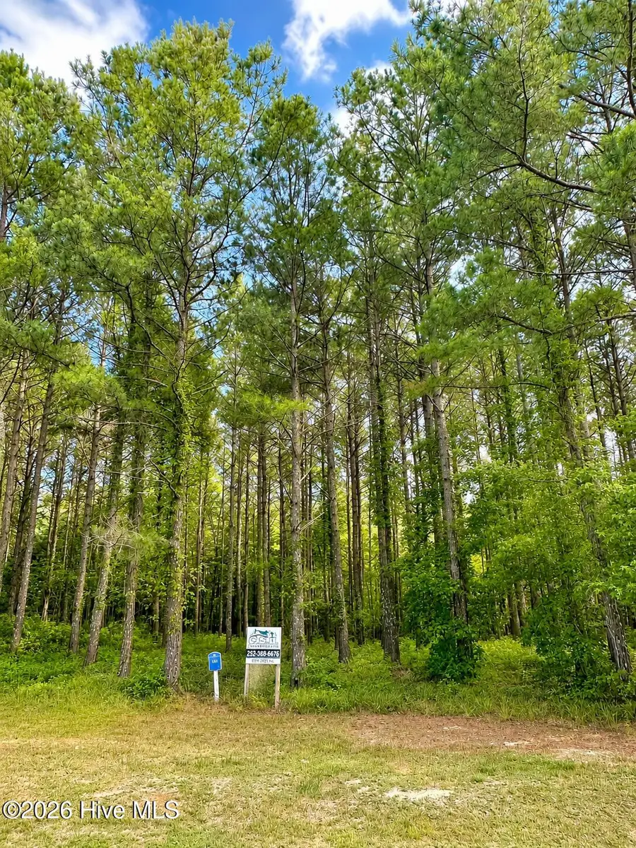117 Colleton Circle, Edenton, NC 27932 - #2