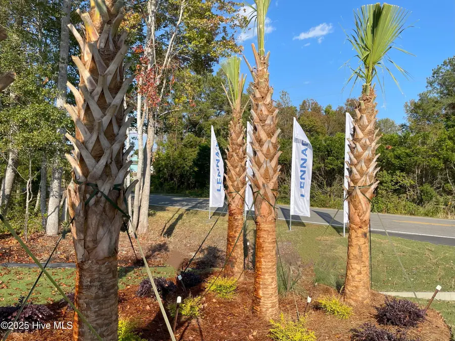 731 Little Gull Way Sw Drive Sw #Wilmington Lot 74, Ocean Isle Beach, NC 28469 - #3