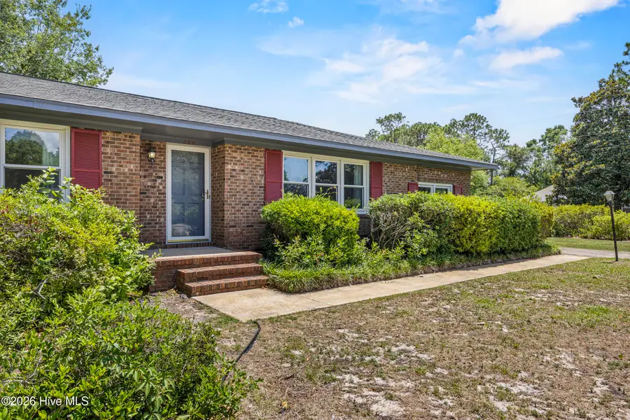 320 Ilex Drive, Wilmington, NC 28412 - #2