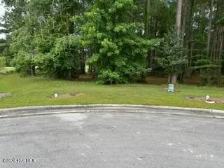 4624 Lapis Court, New Bern, NC 28562 - #2