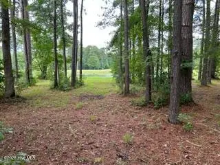 4624 Lapis Court, New Bern, NC 28562 - #3