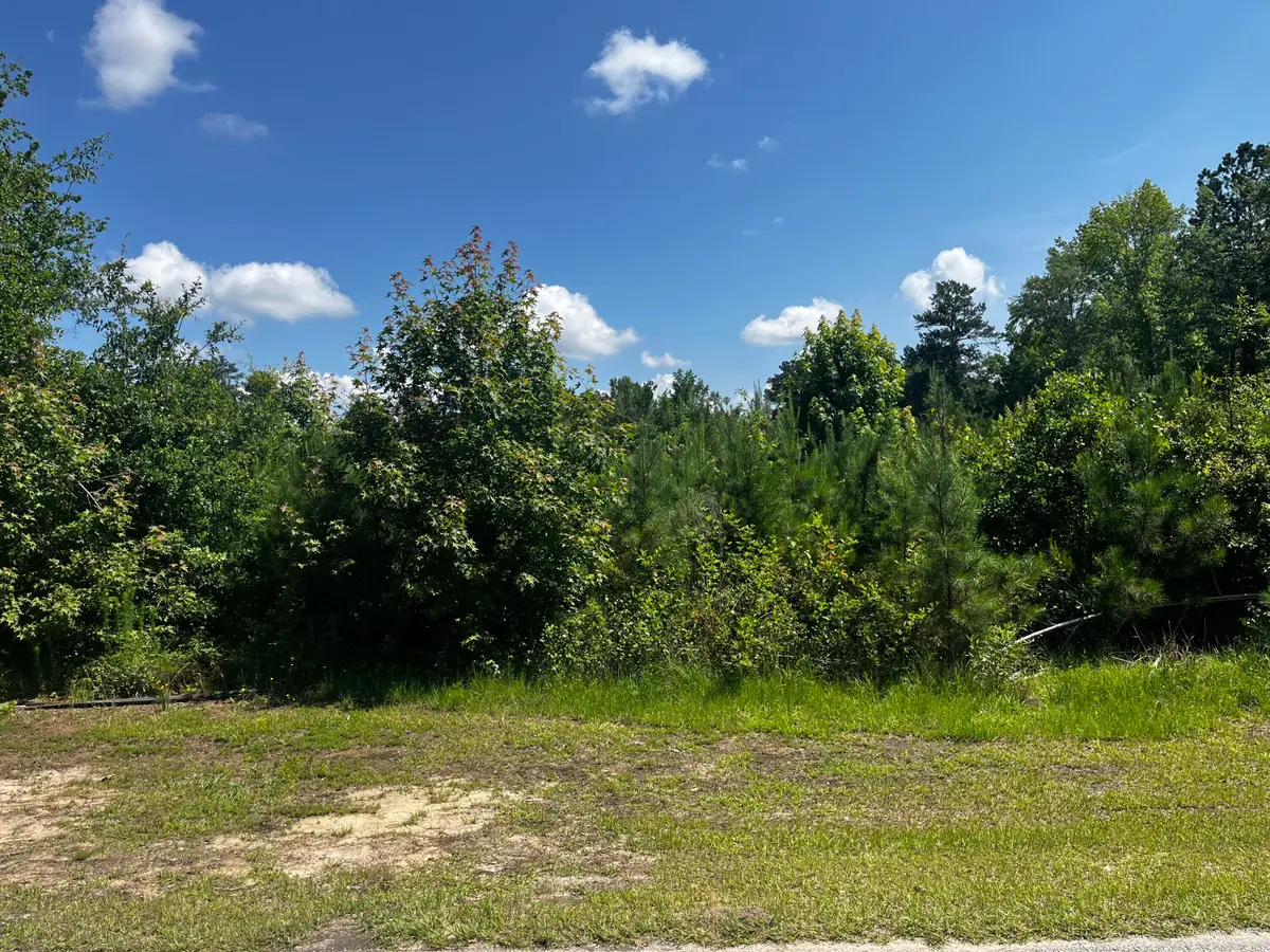 0 Young Street, Wrens, GA 30833 - #1