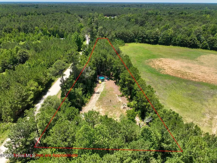 0 Rooks Road, Atkinson, NC 28421 - #2