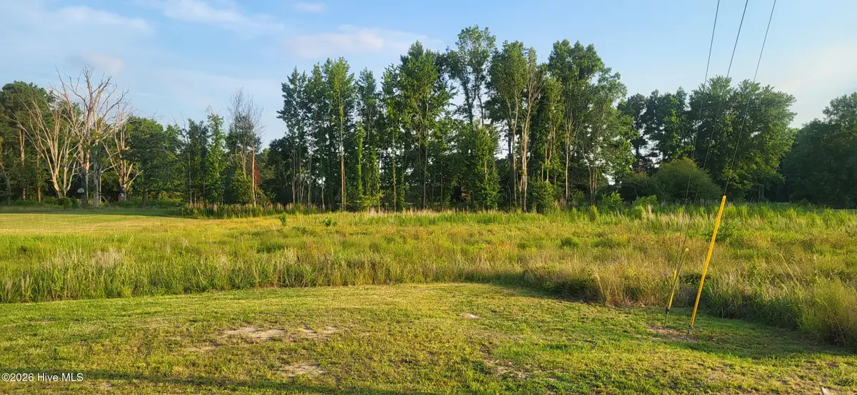 2085 Antioch Road, Pikeville, NC 27863 - #1