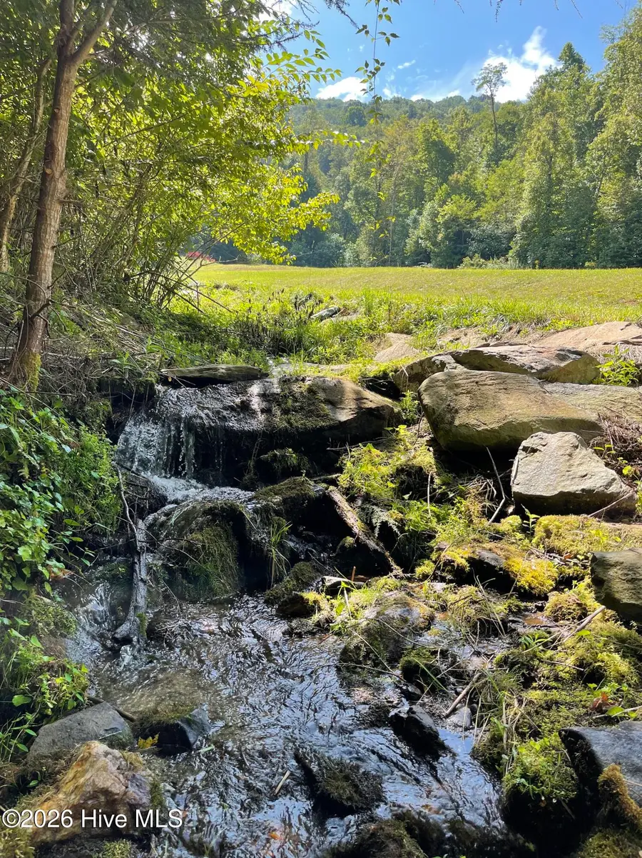 575 Vestal Cochran Road, Topton, NC 28781 - #3