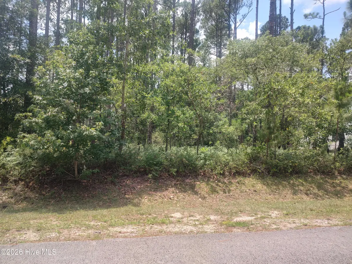 906 Bee Tree Court, New Bern, NC 28560 - #1