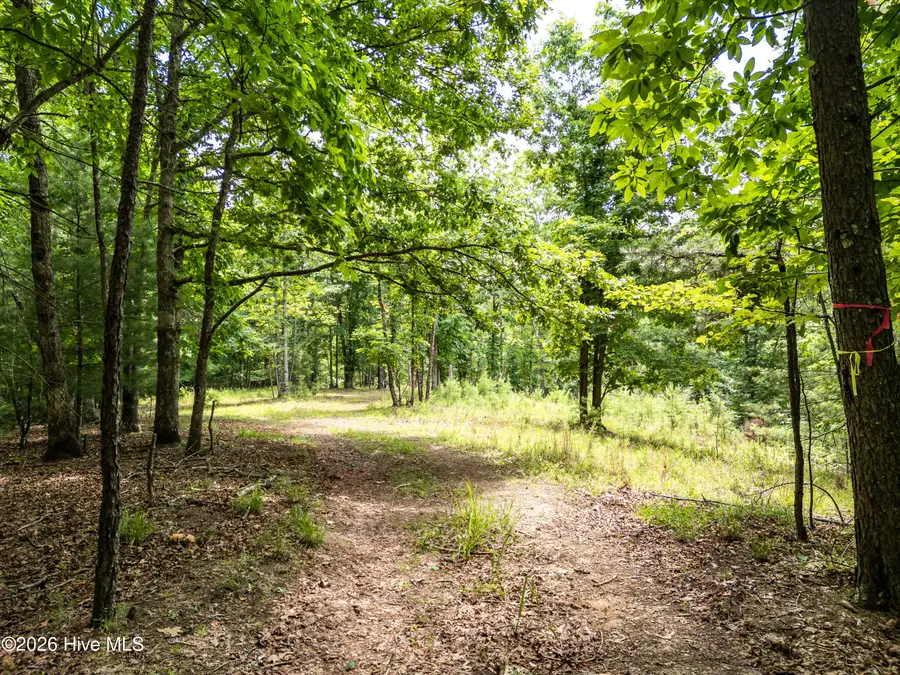 2 Stormy Ridge, Brasstown, NC 28902 - #2