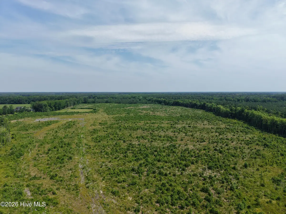 107ac Nc 32 N & Corapeake Road, Corapeake, NC 27926 - #1