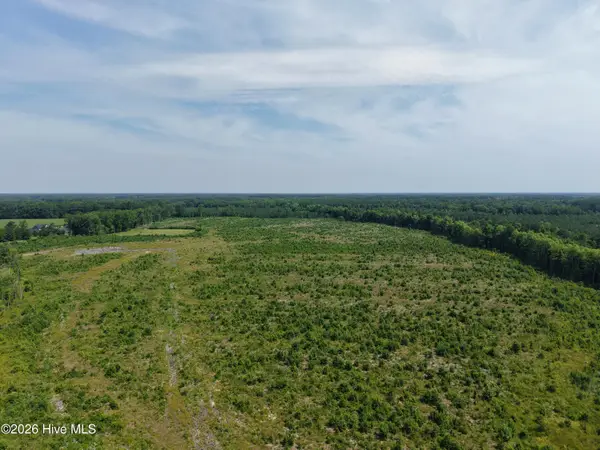 107ac Nc 32 N & Corapeake Road, Corapeake, NC 27926