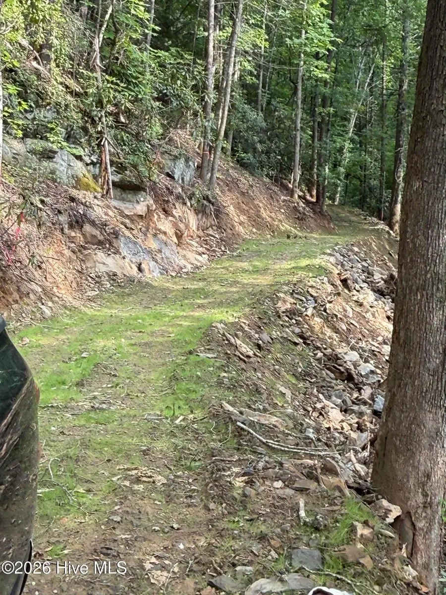 00 Berry Patch Road, Murphy, NC 28906 - #3