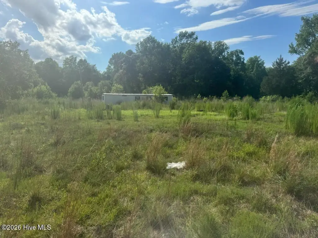 447 Jimmy Road, Magnolia, NC 28453 - #1