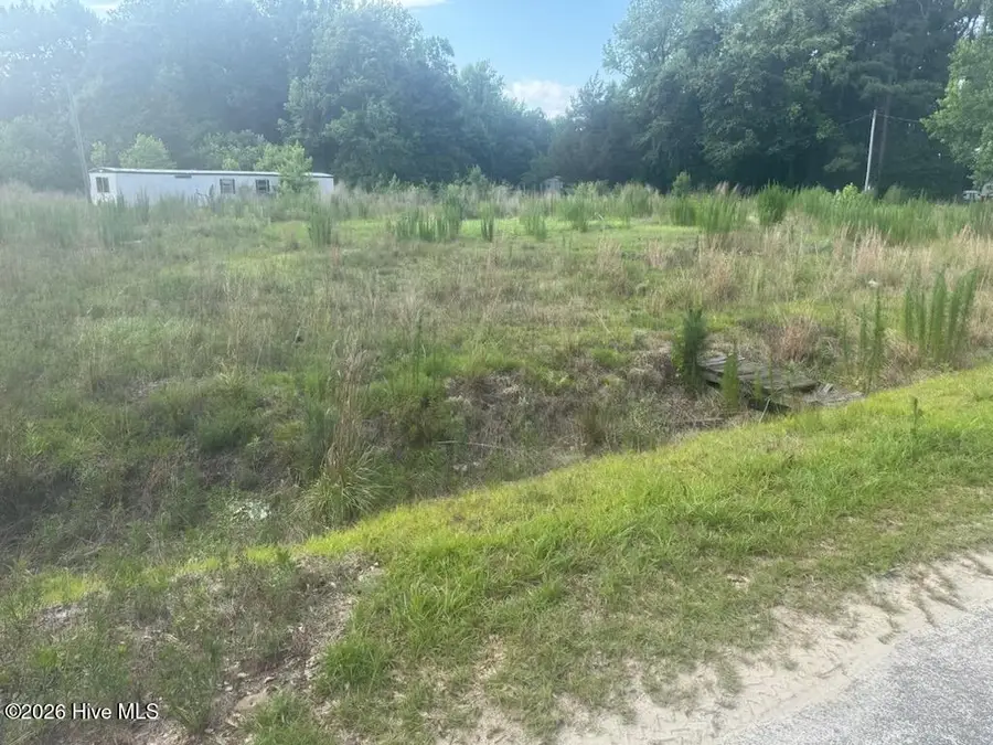 447 Jimmy Road, Magnolia, NC 28453 - #3