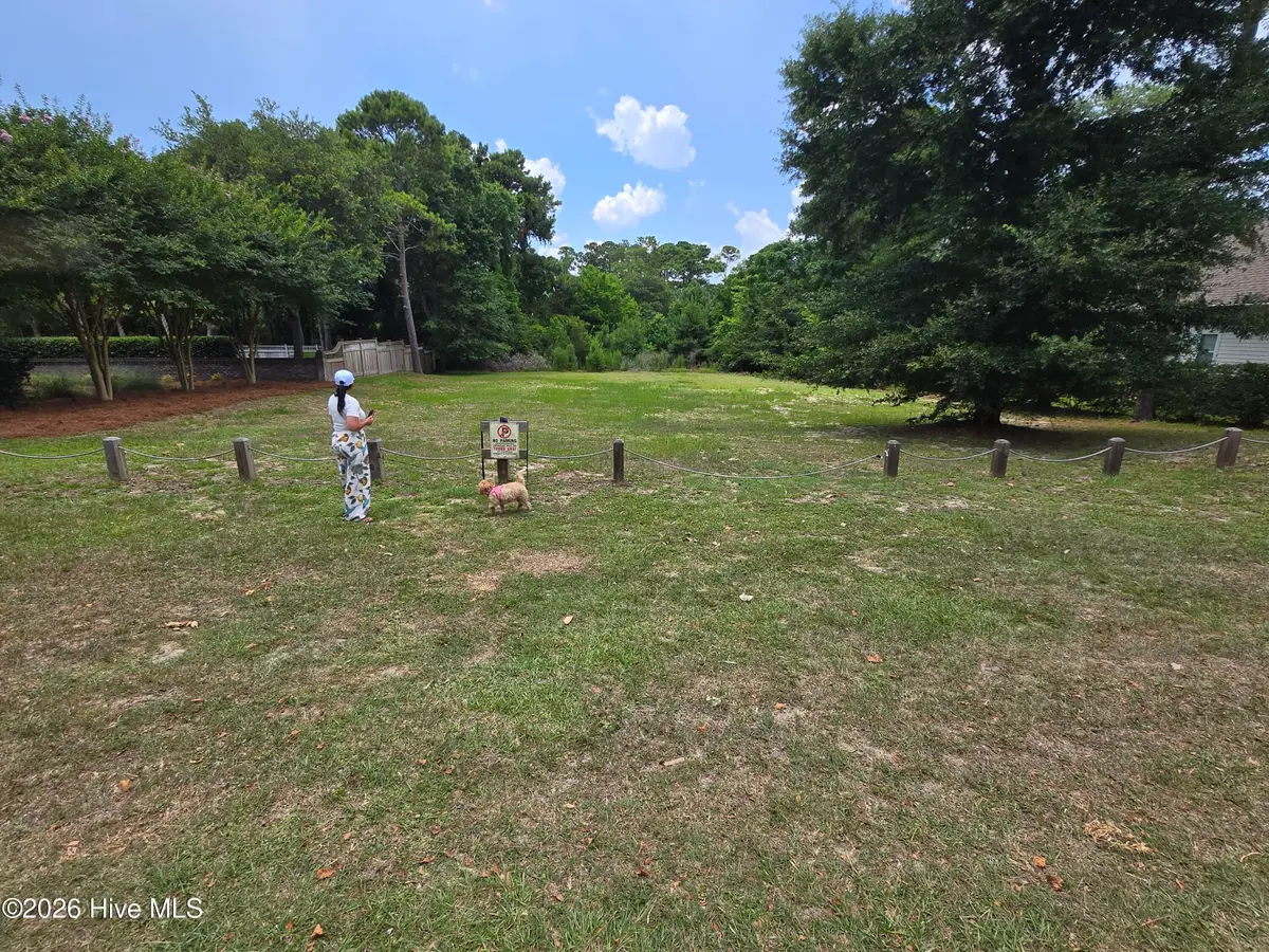 8205 Bald Eagle Lane, Wilmington, NC 28411 - #1