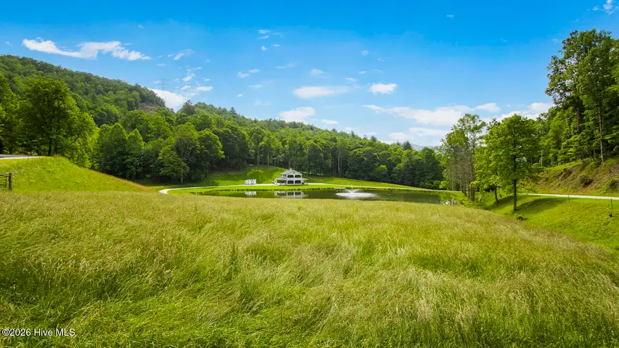 1651 Windingstairs Road, Topton, NC 28781 - #2