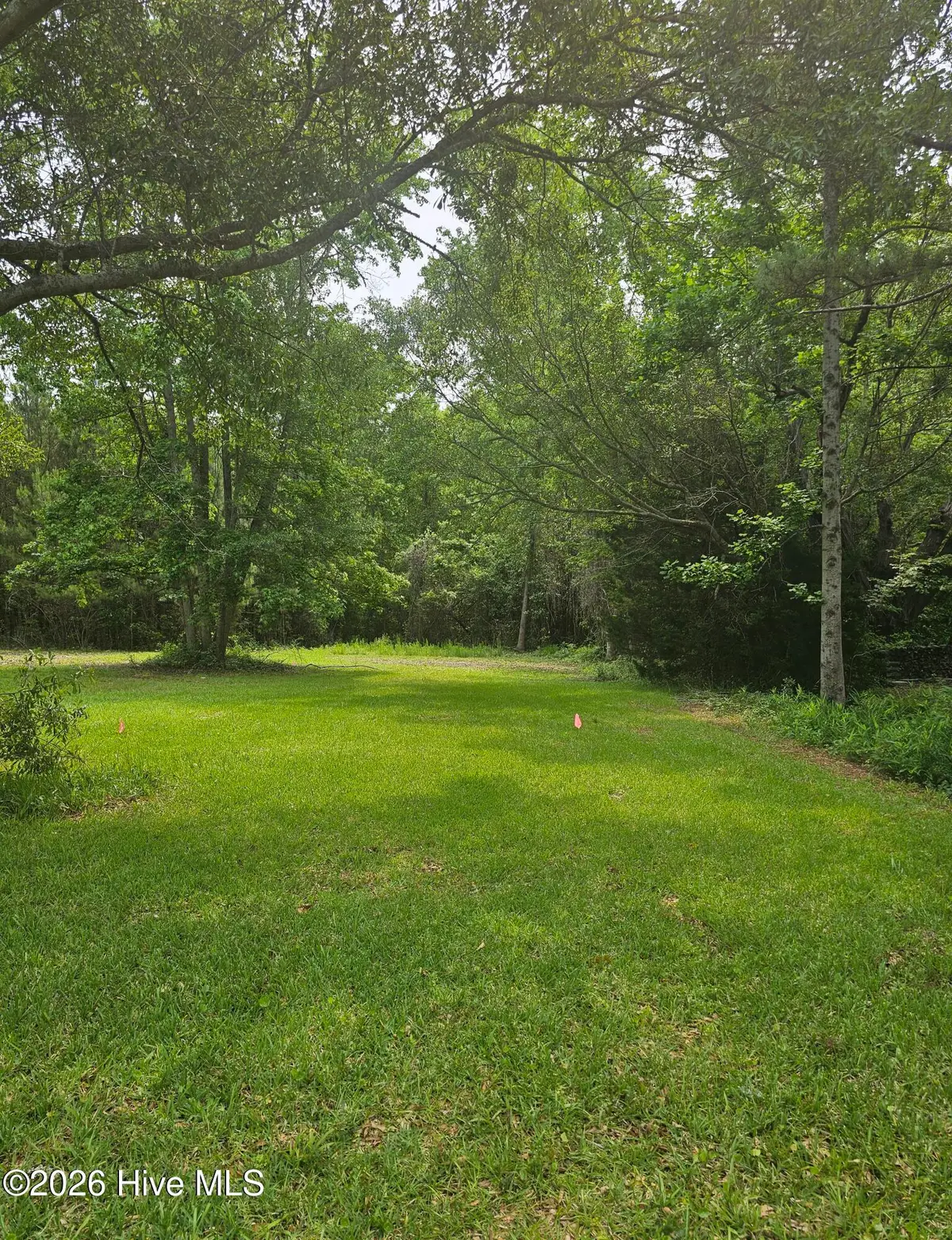 222 Fulcher Landing Road, Sneads Ferry, NC 28460 - #1