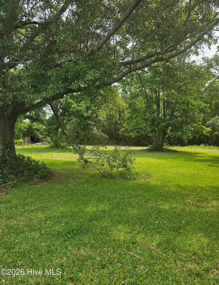 222 Fulcher Landing Road, Sneads Ferry, NC 28460 - #2