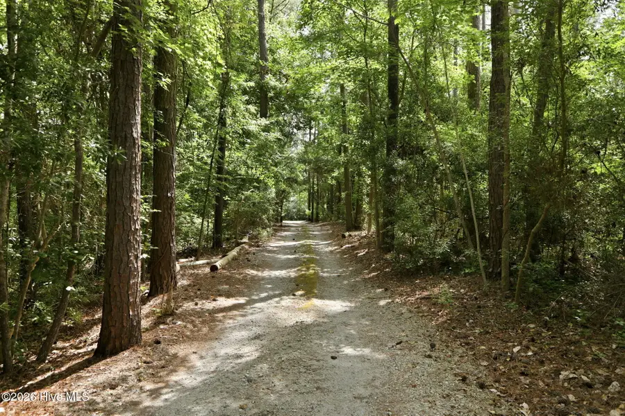 308 Silver Creek Landing Road, Swansboro, NC 28584 - #2