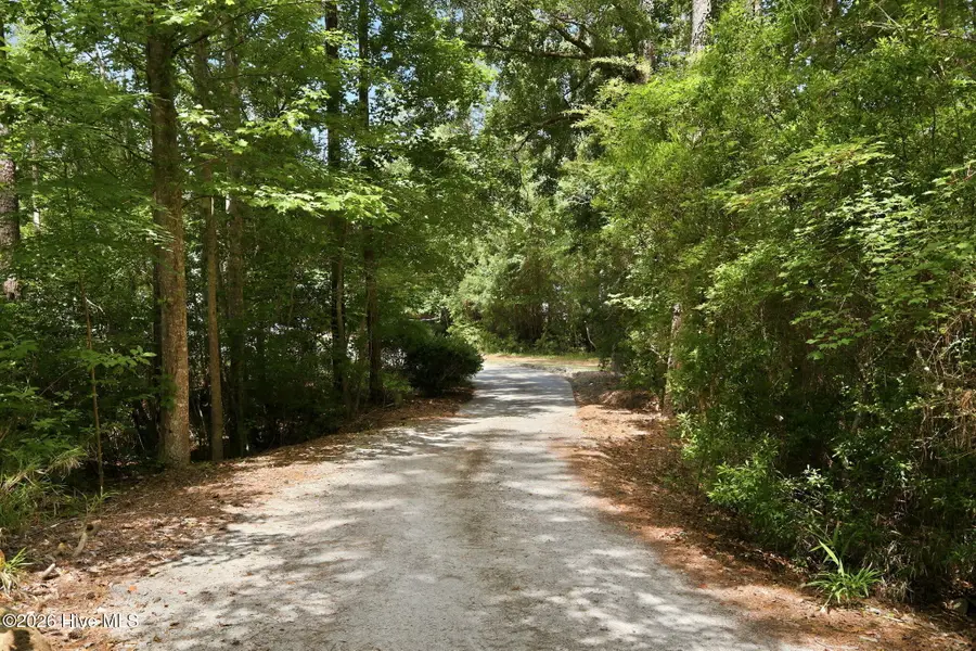 308 Silver Creek Landing Road, Swansboro, NC 28584 - #3