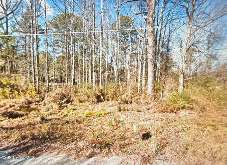 8509 Candlebrush Drive, Linden, NC 28356 - #2