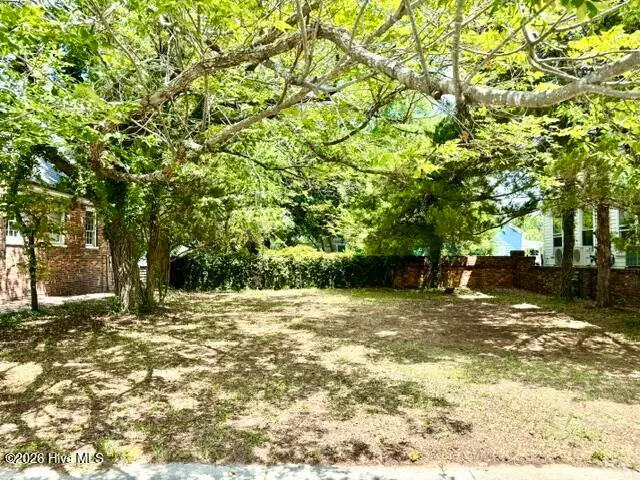 715 Princess Street, Wilmington, NC 28401 - #2