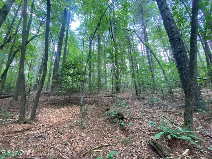 2200 Candy Mountain Road, Murphy, NC 28906 - #3