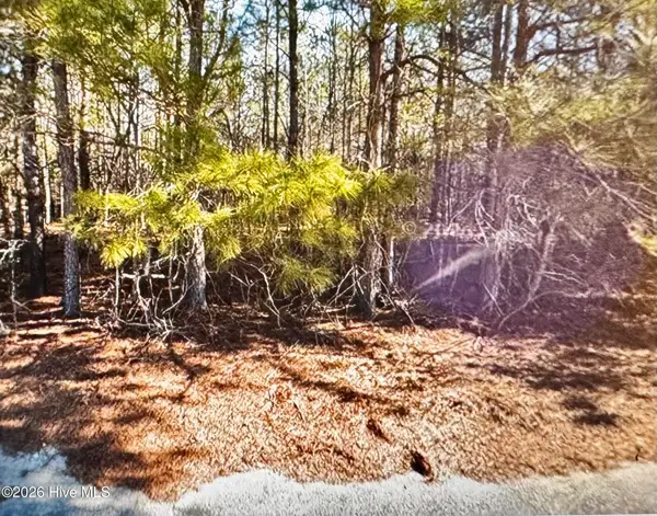 285 Dodge Point Drive, Pinetops, NC 27864