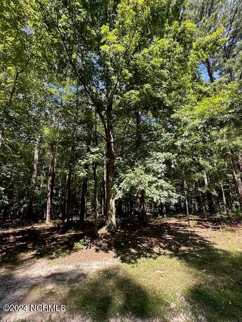 109 Chatooga Court E, Hertford, NC 27944 - #2