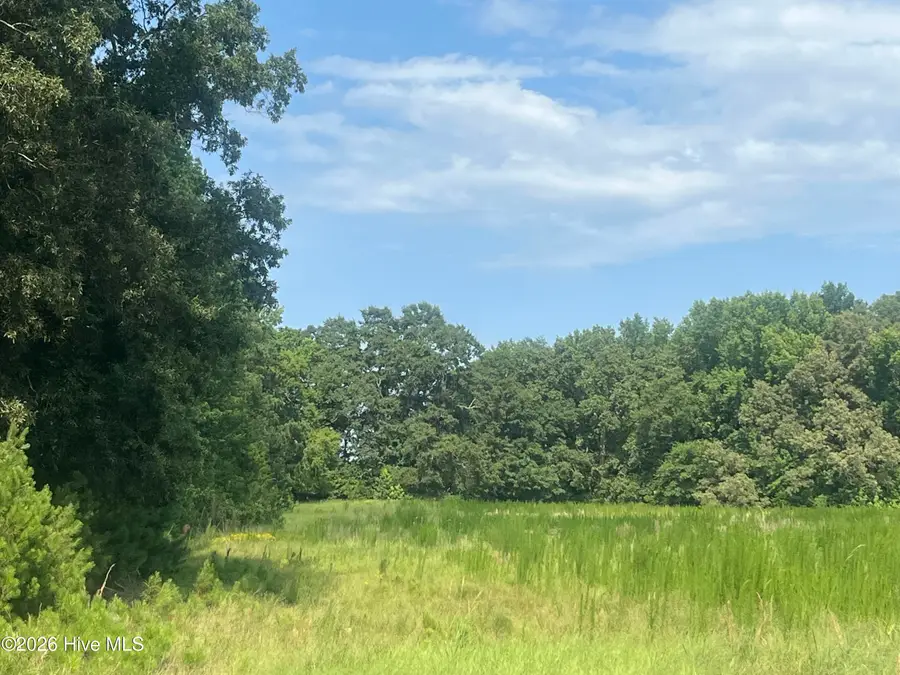 16.9 Ac Rowland-york Drive, Lincolnton, GA 30817 - #2