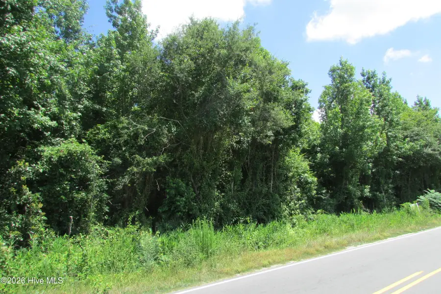 3180 Roseboro Highway, Clinton, NC 28328 - #3