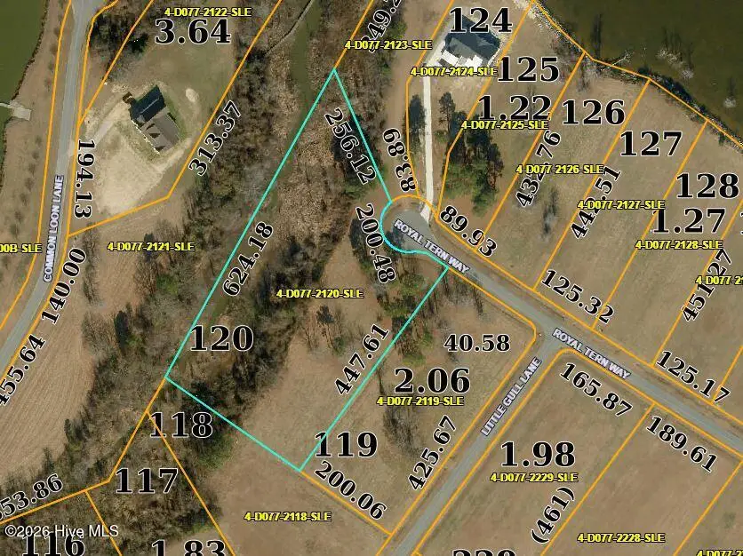 120 Royal Tern Way, Hertford, NC 27944 - #1