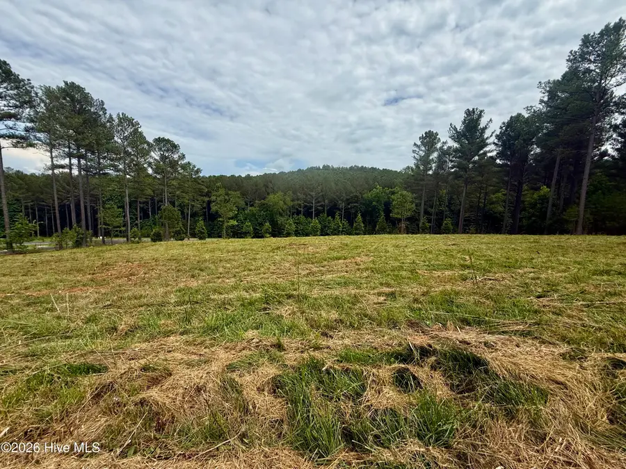 115 Stables Loop, Blairsville, GA 30512 - #3