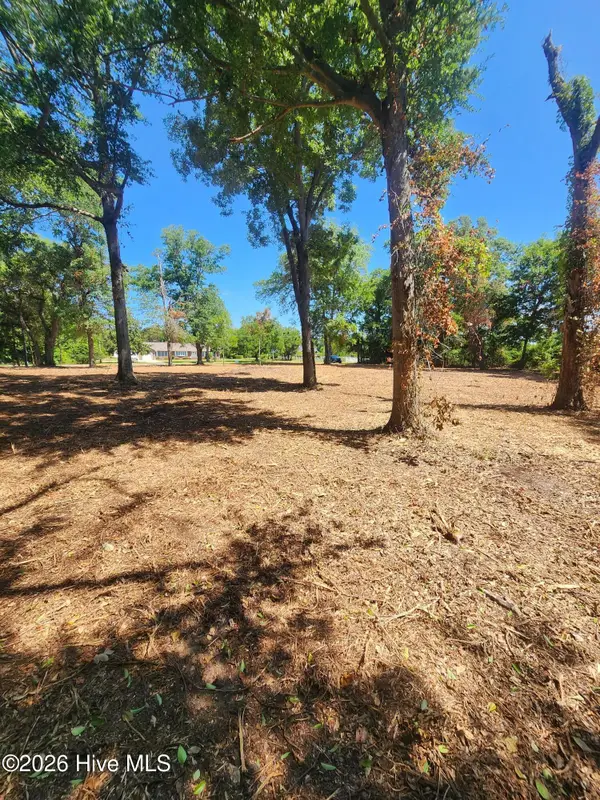 102 Deer Run, Hubert, NC 28539